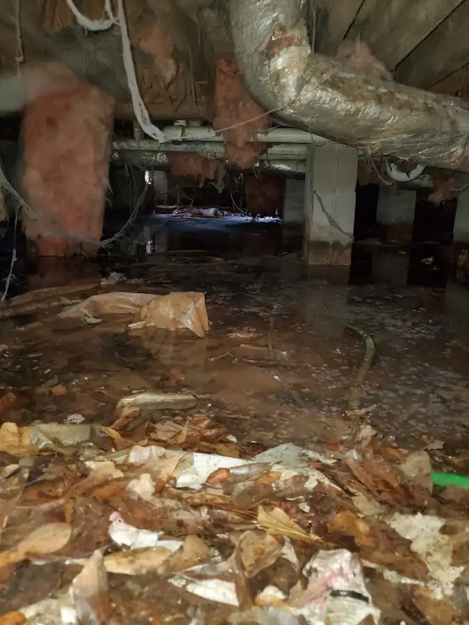 Crawl space flood assessment for Leak Detection & Repair in New Iberia
